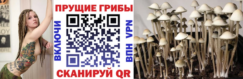 Псилоцибиновые грибы MAGIC MUSHROOMS  Новая Ляля 